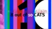 8 Out Of 10 Cats kanal logosu