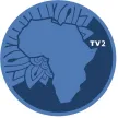 Africa TV2 channel logo
