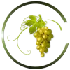 Agro TV kanal logosu