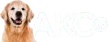 AKC TV kanal loqosu