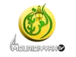 Al Mouridiyyah TV kanal logosu