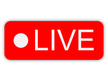 Aneflix Live kanal logosu