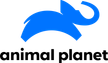 Animal Planet kanal logosu