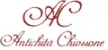 Antichita Chiossone kanal logosu