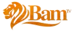 BAM-TV kanal logosu