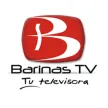 Barinas TV kanal logosu