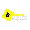 Baska TV kanal logosu
