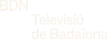 Senderlogo von BDN