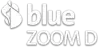 Blue Zoom D channel logo