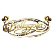 Bollygold kanal logosu