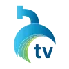Borjomi TV channel logo