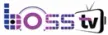 Boss TV kanal logosu