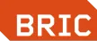 BRIC TV kanal logosu