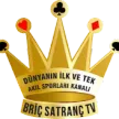 Bric ve Satranc TV kanal logosu