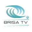 Brisa TV kanal logosu
