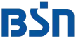 BSN TV kanal logosu