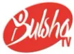 Bulsho TV kanal loqosu