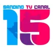 Canal 15 Sandino Vision kanal logosu