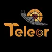 Canal 15 Teleor kanal logosu
