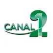 Canal 21 Rioverde kanal logosu
