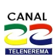 Canal 22 Telenerema kanal logosu