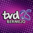 Canal 25 Bermejo kanal logosu