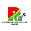 Canal 29 RTV kanal logosu