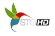 Canal 32 STO kanal logosu