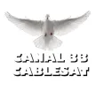 Canal 33 Cablesat kanal loqosu
