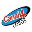 Canal 4 Lobos kanal logosu