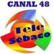 Canal 48 Telesebaco kanal logosu