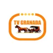Canal 5 TV Granada kanal logosu