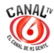 Canal 6 Panadish kanal logosu