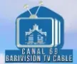 Canal 69 Barivision TV kanal logosu