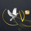 Canal de Vie kanal logosu