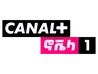 Canal+ Novela 1 kanal logosu