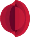 Canal Saude kanal logosu