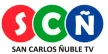 Canal SCN kanal logosu