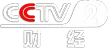 CCTV-2 channel logo