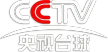 CCTV-Billiards channel logo
