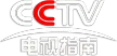 CCTV-TV Guide kanal logosu