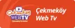 Cekmekoy TV kanal logosu