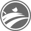 City Channel kanal logosu