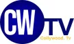 Senderlogo von Collywood TV