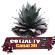 Cotzal TV Canal 36 kanal logosu