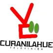 Curanilahue Television kanal logosu