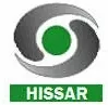 DD Hissar kanal logosu