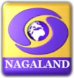 DD Nagaland kanal logosu