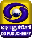 DD Puducherry kanal logosu