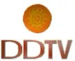 DDTV kanal logosu